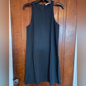 Everlane Dark Green Sleeveless Dress